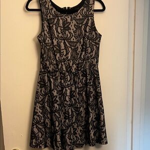 Francesca's Collections Black and Cream Lace Mini Dress